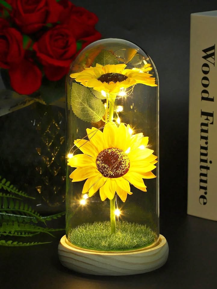 Nuevo Girasol Eterno en Cúpula