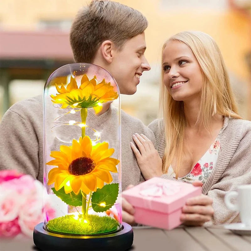 Nuevo Girasol Eterno en Cúpula